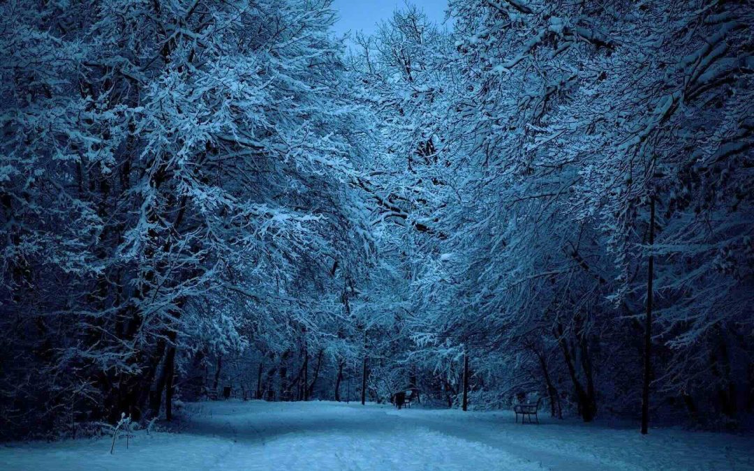 Advent
