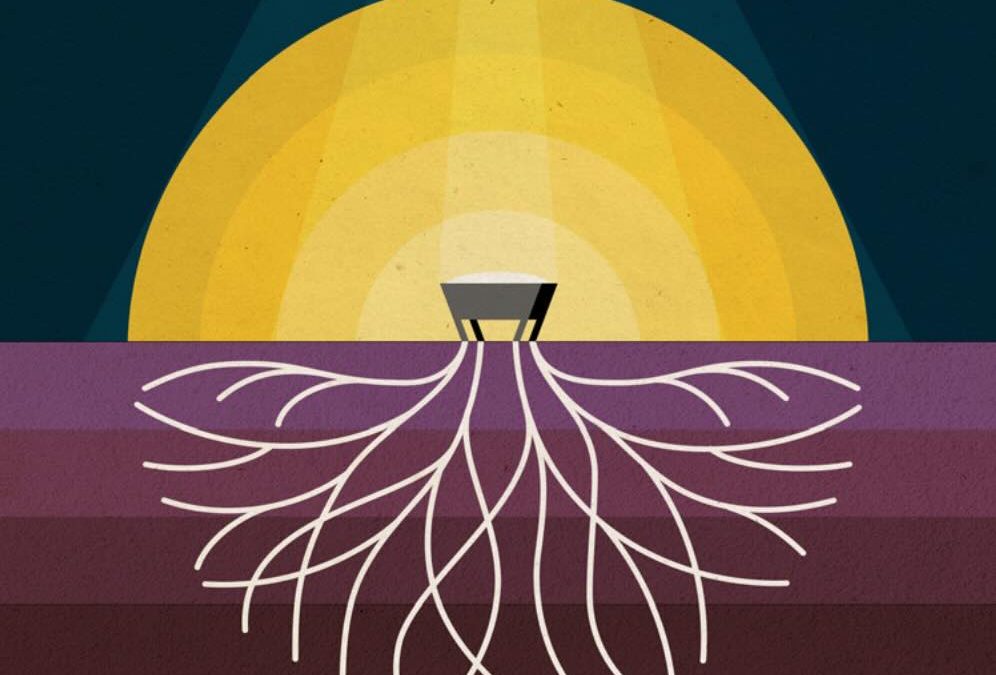 Roots: Advent and the Family Story of Jesus
