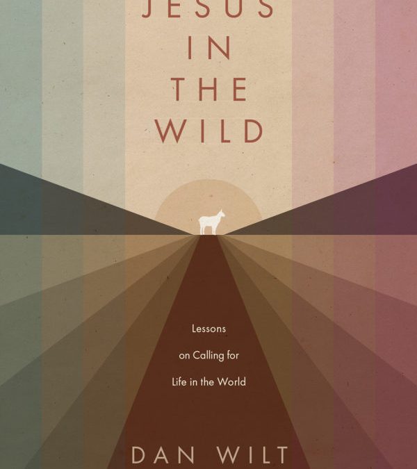 Jesus in the Wild